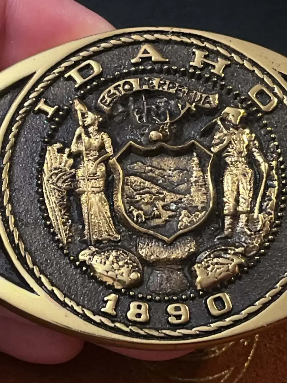 VTG Idaho Great Seal 1890 Solid Brass Belt Buckle with Suede Pouch